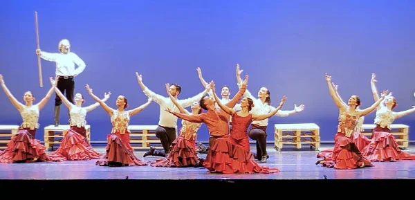 Danza flamenca: 